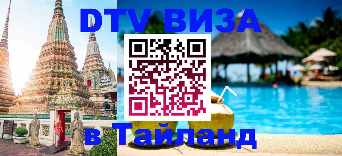 Оформление DTV визы под ключ: стоимость и тарифы, только загранпаспорт - 